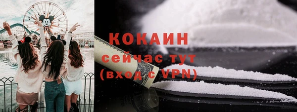 гидра Медвежьегорск
