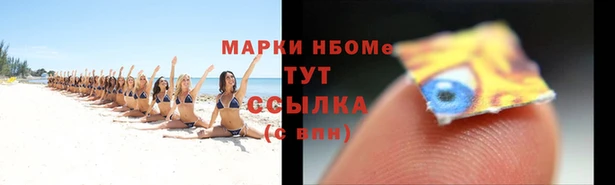 амф Майский