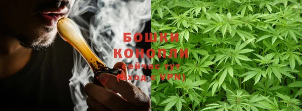 гидра Медвежьегорск