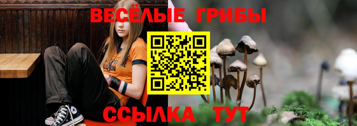 Псилоцибиновые грибы Psilocybe Семилуки