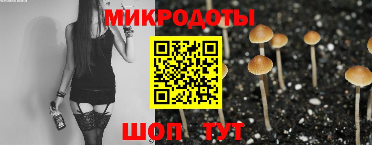 Галлюциногенные грибы Psilocybe  Вход с VPN  Галлюциногенные грибы GOLDEN TEACHER  Семилуки 